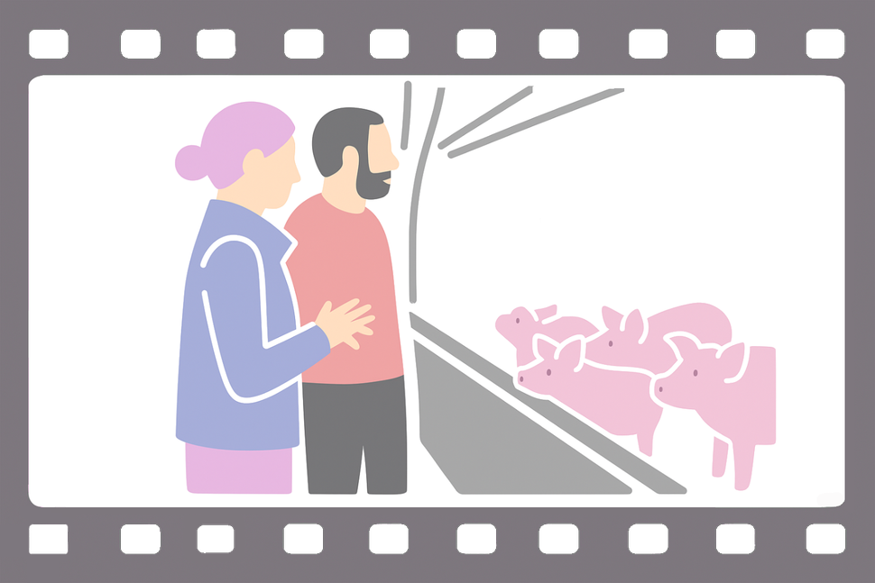 Přehrát video PigMonitor